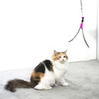 Juguetes interactivos del gato del bromista a granel de encargo de la vara para jugar interior de los gatos proveedor