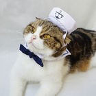 Gatos determinados de la marina de guerra que llevan de moda adorable de la ropa cualquier logotipo disponible proveedor