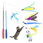 El gato interactivo amistoso de Eco juega/la vara del bromista de la pluma del gato con la pluma proveedor