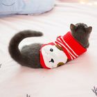 El suéter que lleva modificado para requisitos particulares del gato del modelo, gato del diseñador viste la talla xs - XXL proveedor
