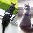 Sudadera con capucha linda amistosa del gato de Eco, trajes calientes del animal doméstico para los pequeños perros proveedor