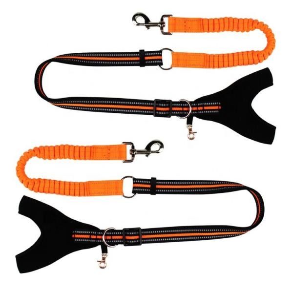 Cuellos de perro de la moda y correos con la cuerda trenzada del nilón retractable extendido elástico proveedor