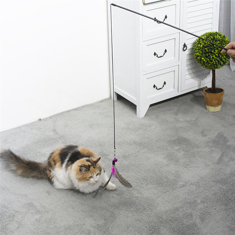 Juguetes interactivos del gato del bromista a granel de encargo de la vara para jugar interior de los gatos proveedor