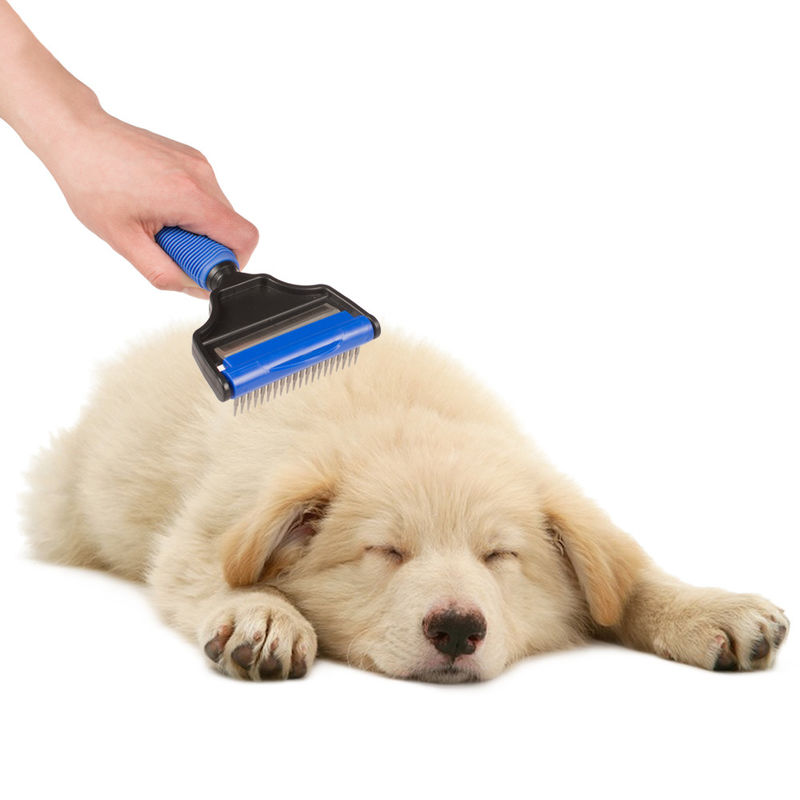 Talla 20 * peine del pelo de perro del 10.2cm, logotipo modificado para requisitos particulares profesional del cepillo de la piel del gato proveedor