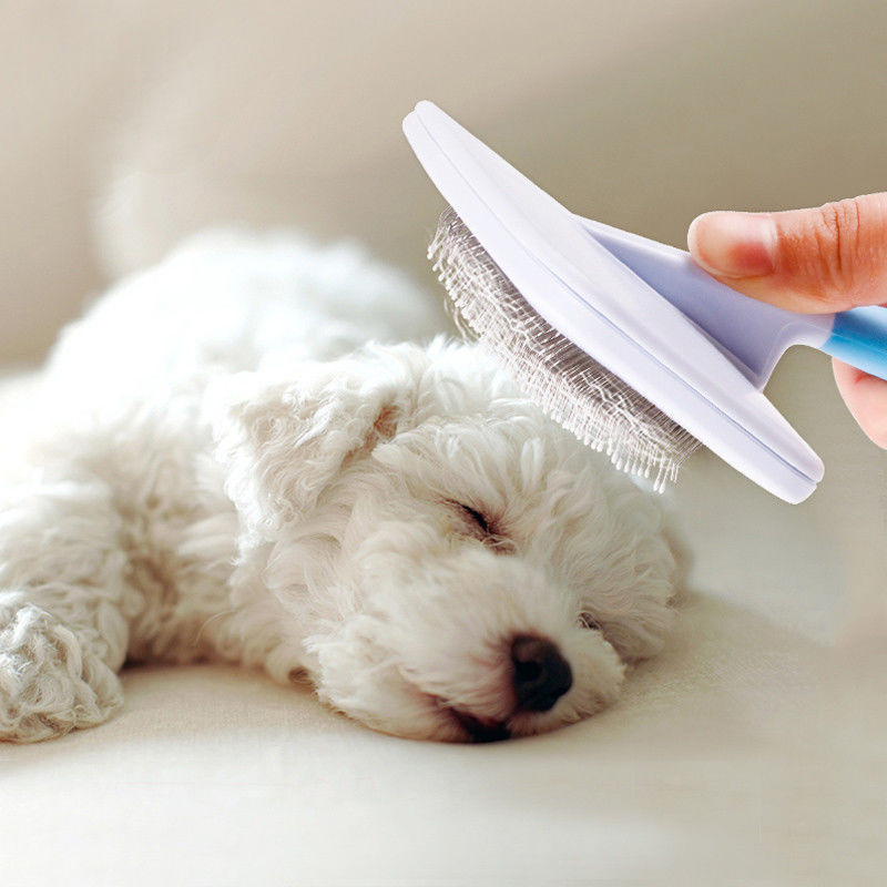 Fáciles impermeables rotativos antioxidantes de la herramienta de Dematting del cepillo/del perro de pelo del animal doméstico limpian proveedor