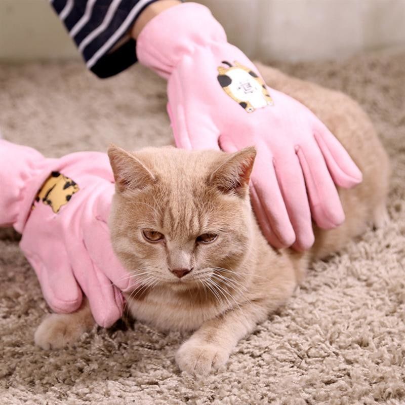 Guante profesional rosado de la limpieza del baño de los guantes de la preparación del animal doméstico para el gato/el perro proveedor