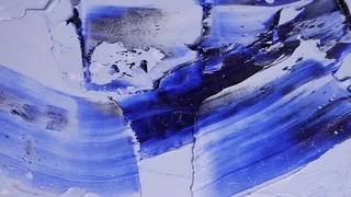 Logotipo personalizado del collar lindo del animal doméstico de la flor